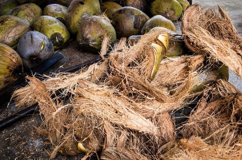 Belgian group hopes to join Vietnam in producing activated carbon from coir